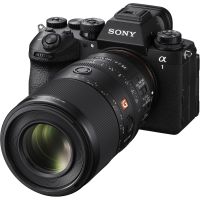 SONY FE 100mm F2.8 Macro GM OSS SEL100M28GM