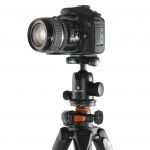 Vanguard Alta Pro 263AB 100 (sa ballhead) 