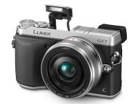 Panasonic Lumix DMC-GX7 + Lumix G 20mm f/1.7 II ASPH.