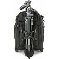 Vanguard ALTA FLY 49T