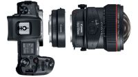 Canon EOS R + EF-EOS R Mount Adapter