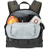 Lowepro Flipside Trek BP 250 AW