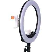 NANGUANG Venus V24C LED Ring Light (with mirror, phone holder, carring bag)