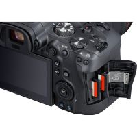 Canon EOS R6 + RF 24-105mm F4L IS USM