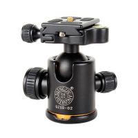 QZSD 02 Ball Head